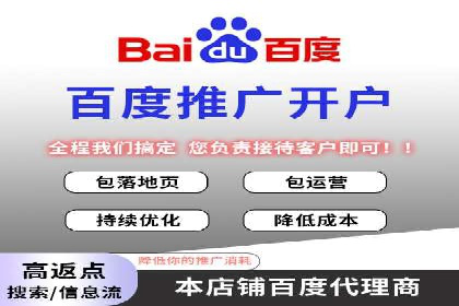 百度竞价推广案例：品牌崛起之路